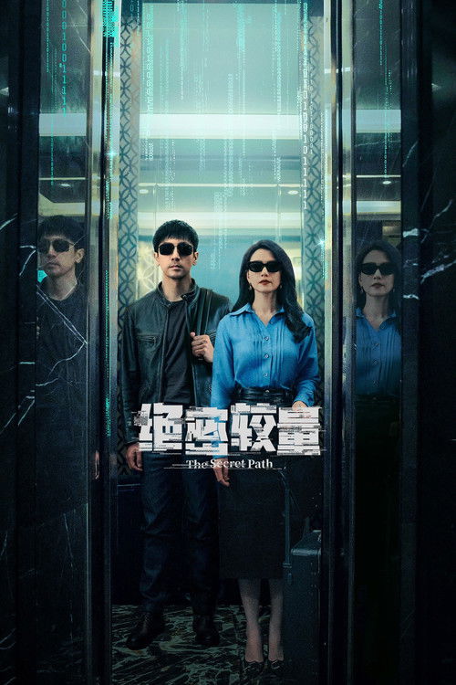 Póster de 绝密较量