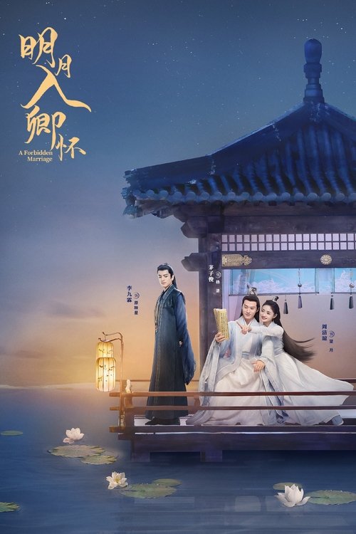 Póster de 明月入卿怀