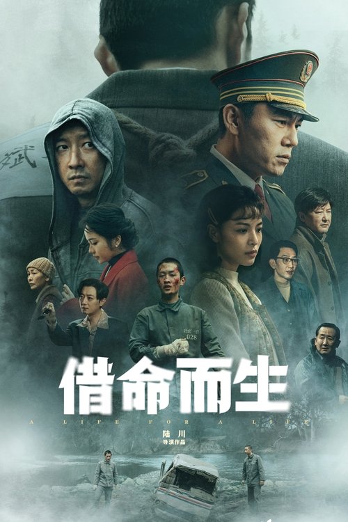 Póster de 借命而生