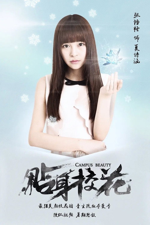 Póster de 贴身校花