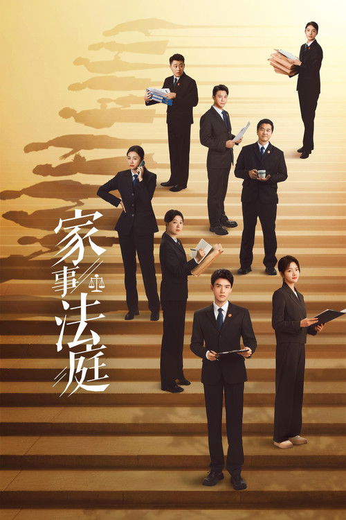 Póster de 家事法庭