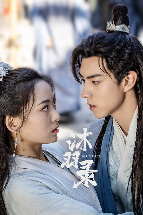Póster de 沐羽录