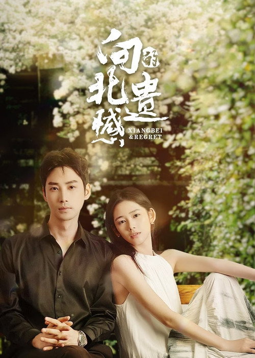 Póster de 向北的遗憾
