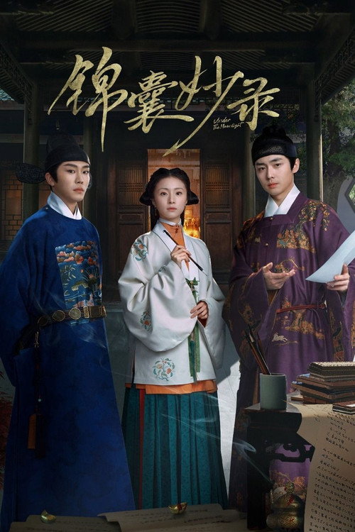 Póster de 锦囊妙录
