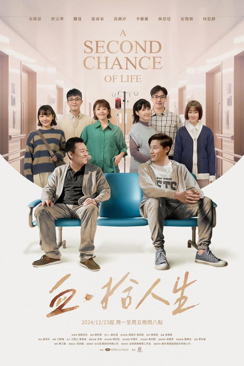 Póster de 血 · 拾人生