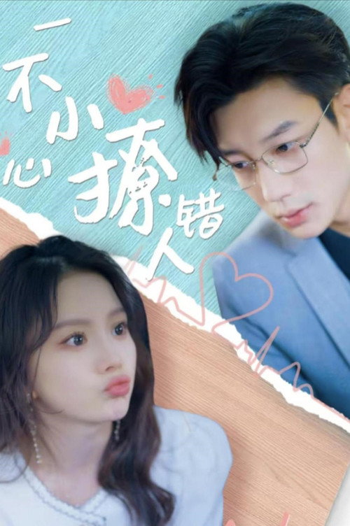 Póster de 一不小心撩错人
