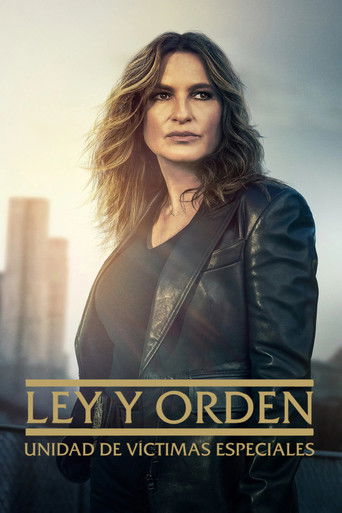 Póster de La Ley y el Orden: Unidad de Víctimas Especiales