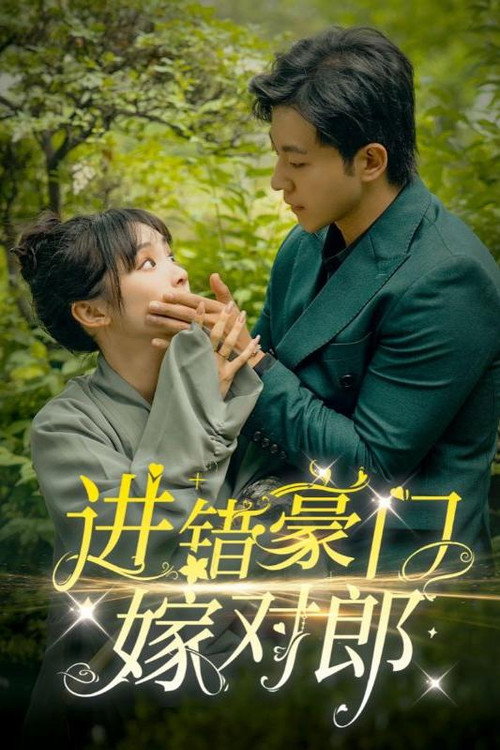 Póster de 进错豪门嫁对郎