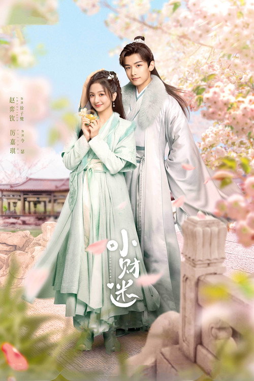 Póster de 小财迷