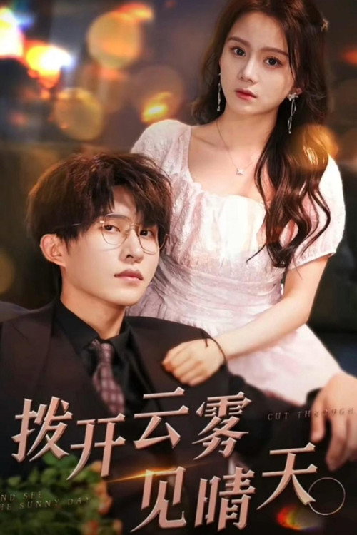 Póster de 拨开云雾见晴天