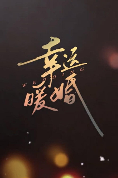 Póster de 幸运暖婚