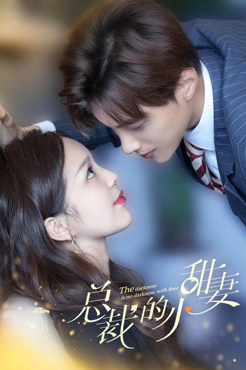 Póster de 总裁的小甜妻