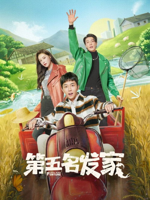 Póster de 第五名发家