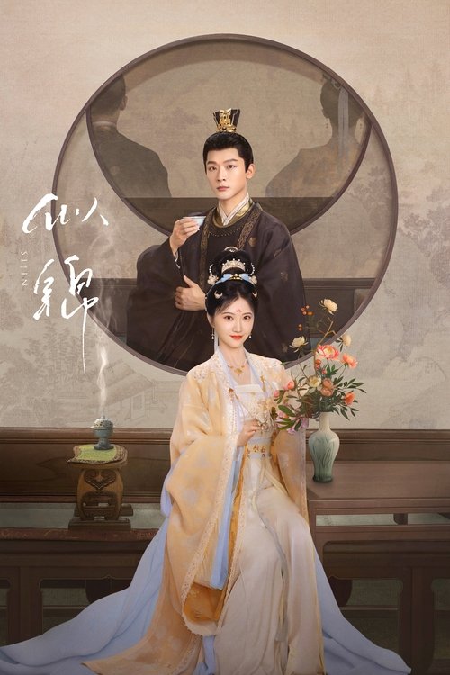 Póster de 似锦