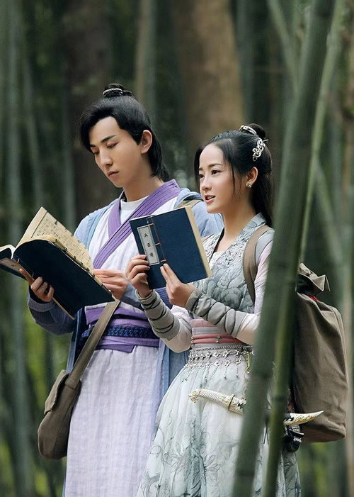 Póster de 过遍千城才识君
