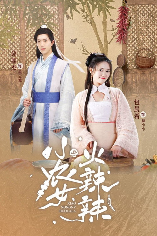 Póster de 小农女火辣辣