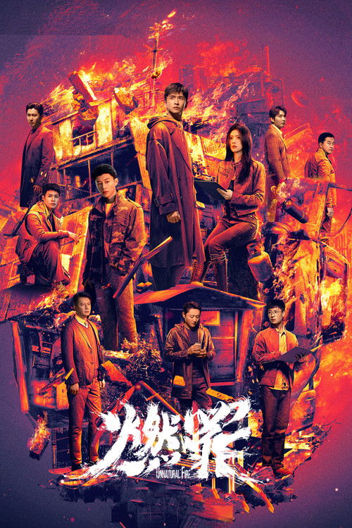 Póster de 燃罪