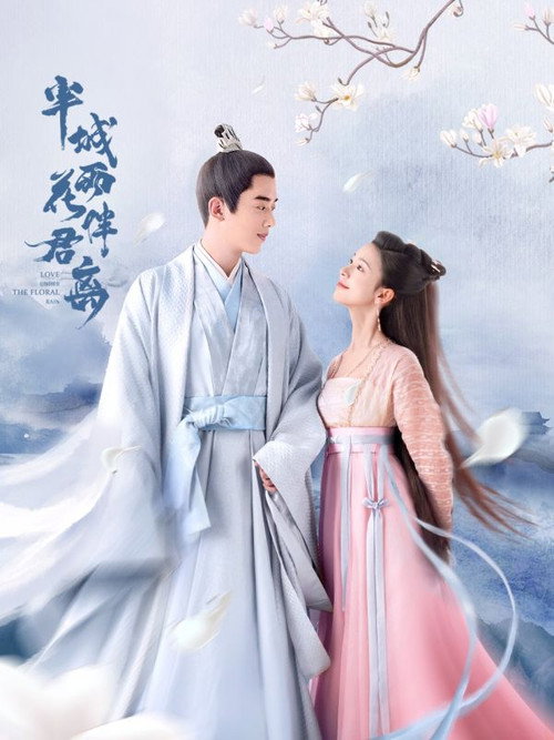 Póster de 半城花雨伴君离