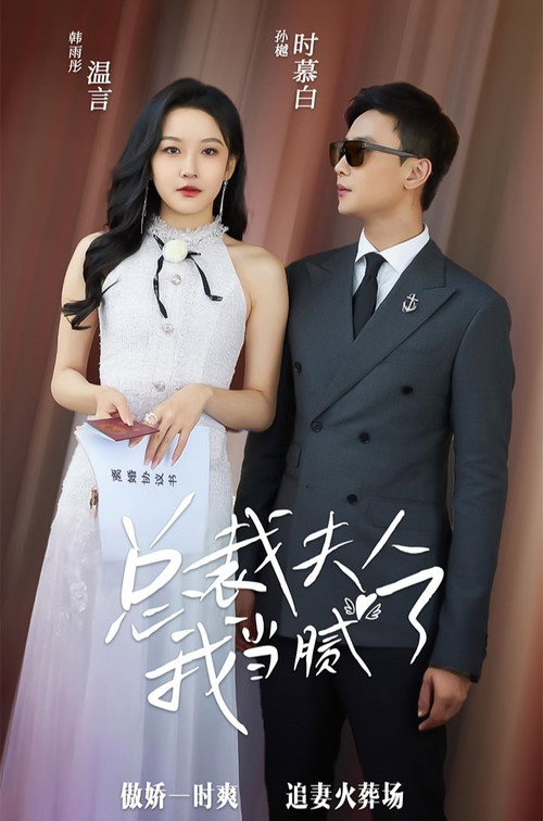 Póster de 总裁夫人我当腻了