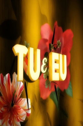 Póster de Tu e Eu