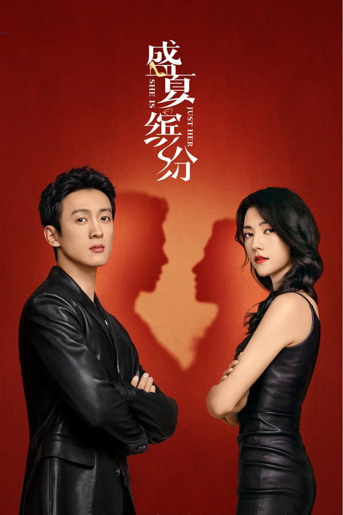 Póster de 非凡的她们