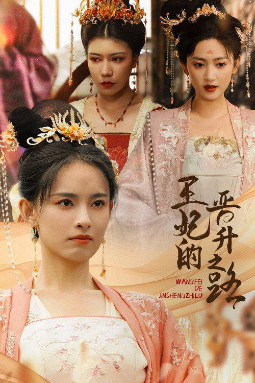 Póster de 王妃的晋升之路