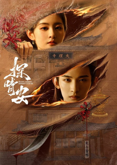 Póster de 探晴安