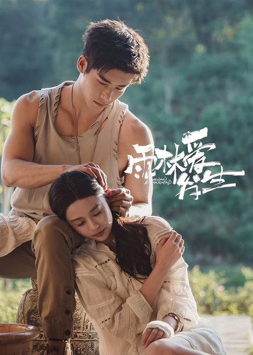 Póster de 雨林爱发生
