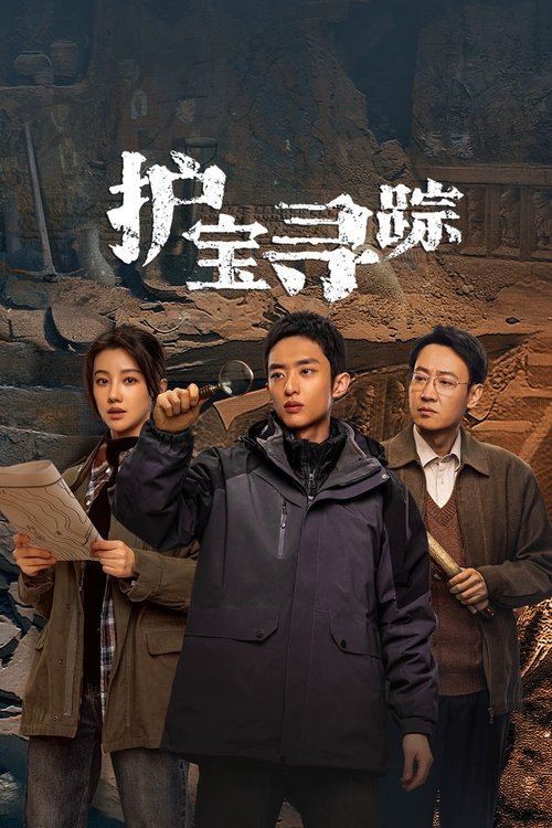 Póster de 护宝寻踪