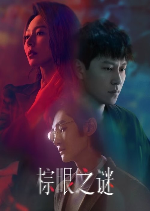 Póster de 棕眼之谜