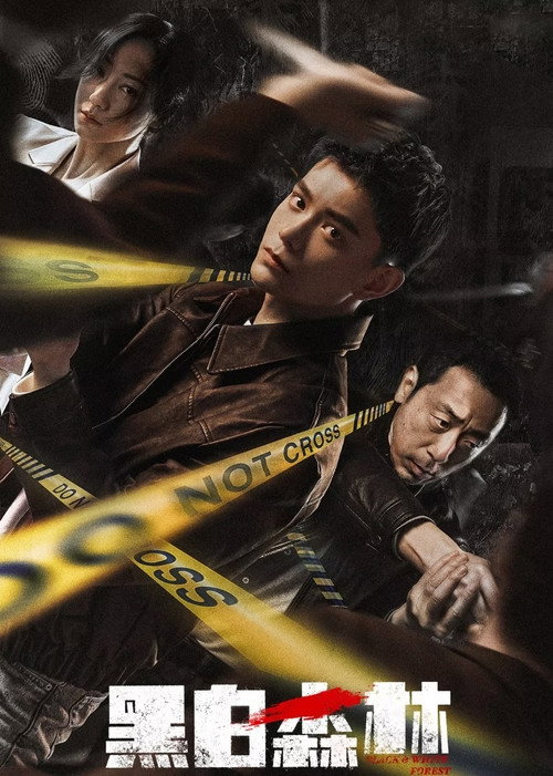 Póster de 黑白森林
