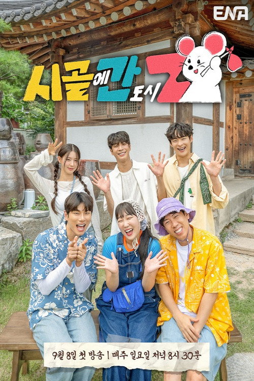 Póster de 시골에 간 도시 Z