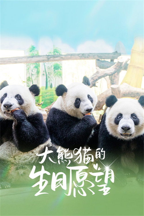 Póster de 大熊猫的生日愿望