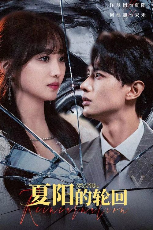 Póster de 夏阳的轮回