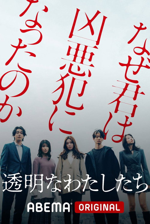 Póster de 透明なわたしたち