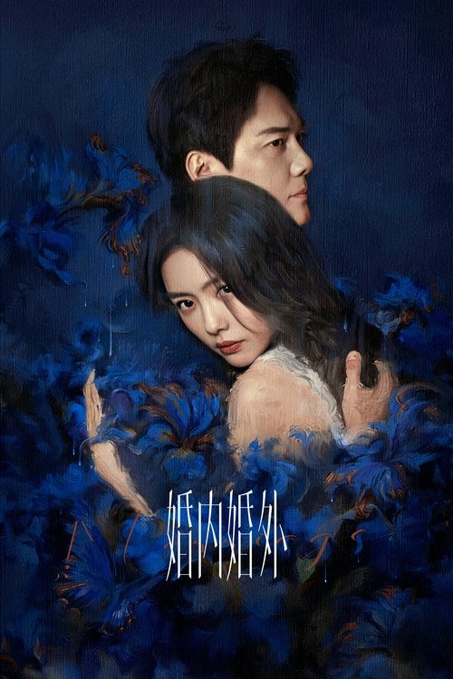 Póster de 婚内婚外