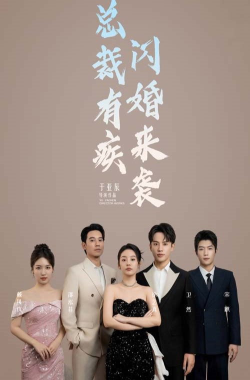 Póster de 总裁有疾闪婚来袭