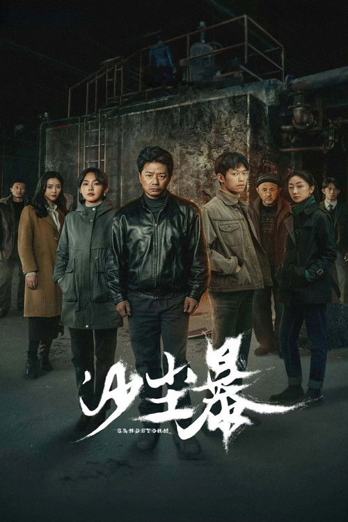 Póster de 沙尘暴