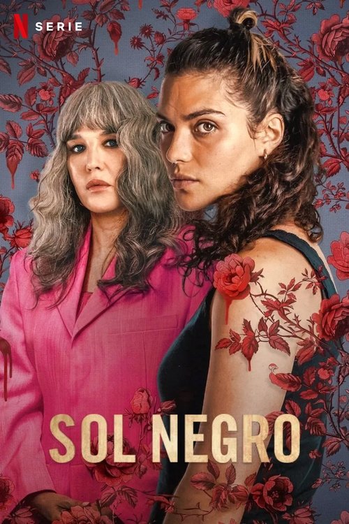 Póster de Sol negro