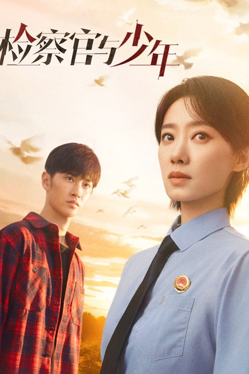 Póster de 检察官与少年