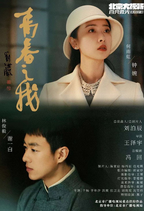 Póster de 青春之我