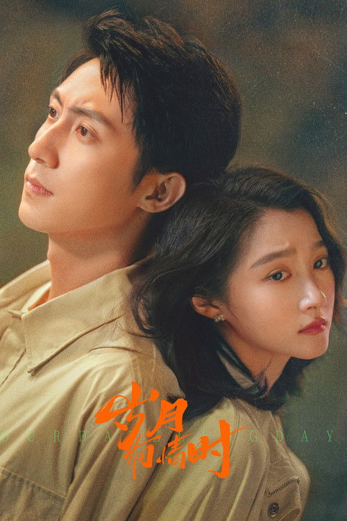 Póster de 岁月有情时