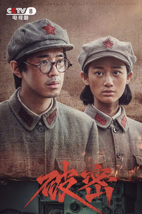 Póster de 破密