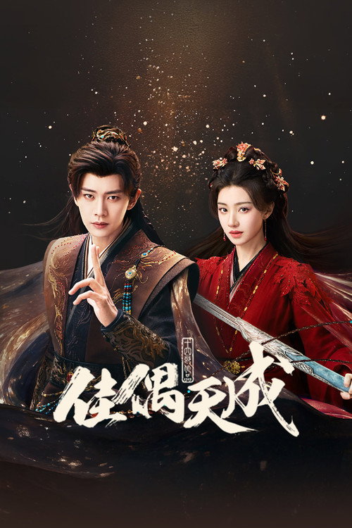 Póster de 佳偶天成