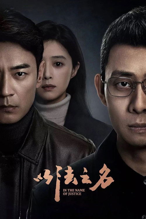 Póster de 以法之名