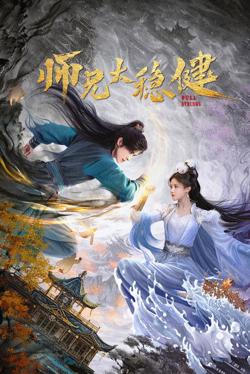 Póster de 师兄太稳健
