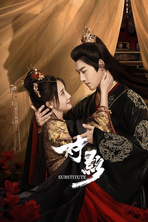 Póster de 对影
