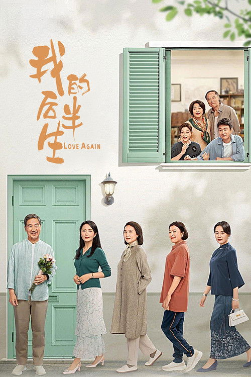 Póster de 我的后半生