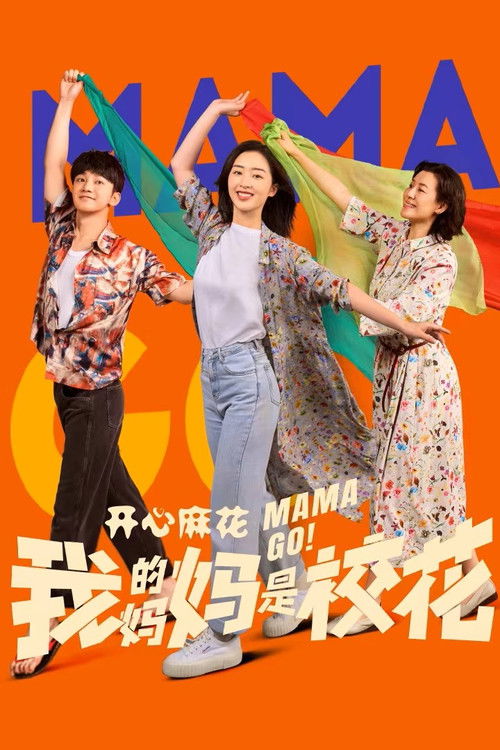 Póster de 我的妈妈是校花