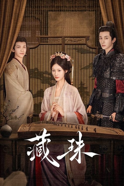 Póster de 藏珠